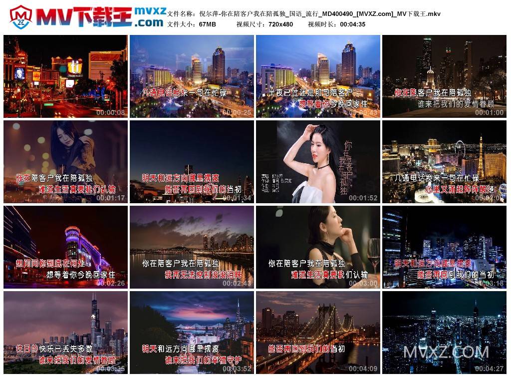 倪尔萍-你在陪客户我在陪孤独_国语_流行_MD400490